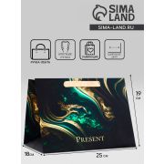 Пакет подарочный