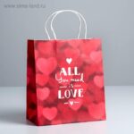Пакет подарочный крафт «All you need is love»